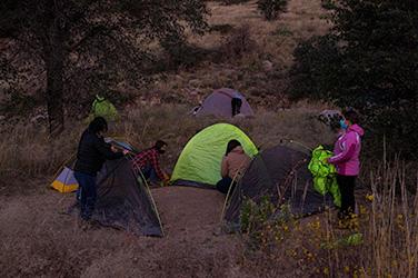 Green Tent