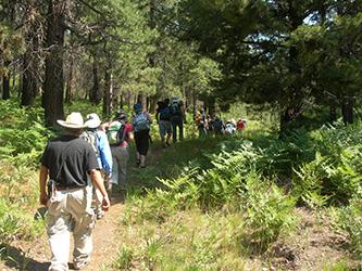 On trail to watchtower